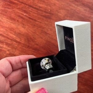 Pandora charms. field of daisies glass murano charm and daisy spacer.